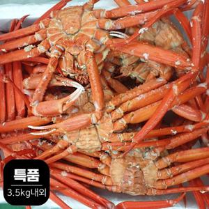 (특품) 후포리 자숙 붉은대게 3.5kg내외(8-12미)