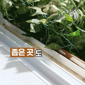 크린위즈 한방에 싹 수동 고압축 분무기 2L 분사 세차 가드닝(연장노즐 증정)(분무기만 단품)