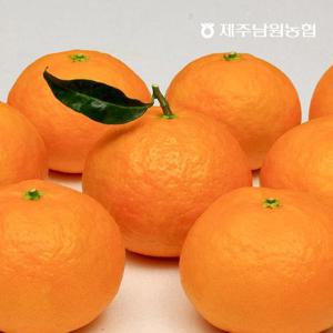제주남원농협 산지직송 봄에 먹는 귤 고당도 카라향 4.5kg 대과