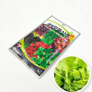 초보자용 모듬 채소 씨앗 쌈채소 모듬 상추 씨앗 재배용 텃밭 WFNXIB7
