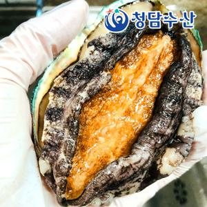 청담수산 완도 활전복 (1kg / 특대 7~8미)