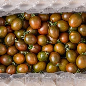 [신선하랑] 국내산 흑대추방울토마토 로얄과 1kg (1~3번) 외
