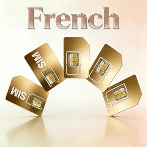 GPS 트래커 4G SIM 카드, 반려동물 위치 추적 목걸이, 프랑스 IoT 기기, 500MB 유럽 로밍 데이터, 365일 서비스