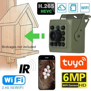 6MP 4MP POE 2K 투야 미니 무선 와이파이 IP 카메라 새장 IRCUT 야간 투시 소형 새 둥지 가정용 보안 CCTV 스마트 라이프