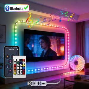 RGBIC USB 5V LED 스팅 라이트 블루투스 음악 APP WS2812 프로그래밍 가능한 DIY 요정 조명 생일 파티 가랜드 크리스마스 장식