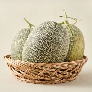 [신선하랑] 산지직송 고당도 그린하미과 메론 2kg (2-4과) 외