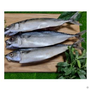 [푸디앤] 왕특대 자반 고등어 2미 (손질 후 1미당 450g~500g) / 팔뚝만합니다