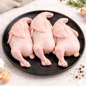 국내산 영계 냉동 삼계닭 30호 x 3마리