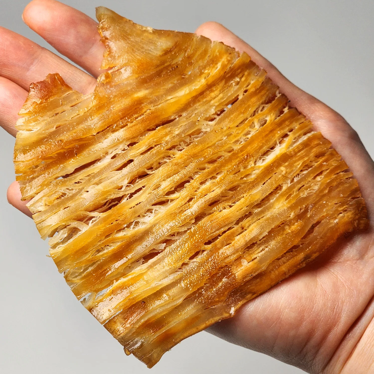 가락시장521 전기구이 오징어 200g (7~10미)