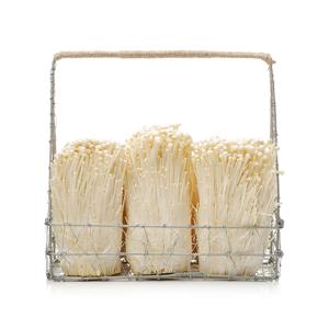 늘바른 국내산 친환경 무농약 팽이버섯(2입)300g