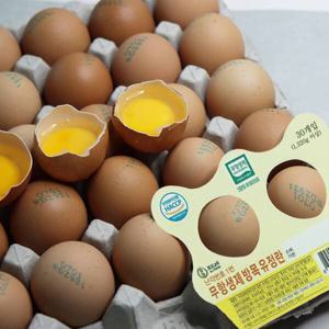 난각번호 1번 HACCP 무항생제인증 방사 유정란 60구 100%파손보상