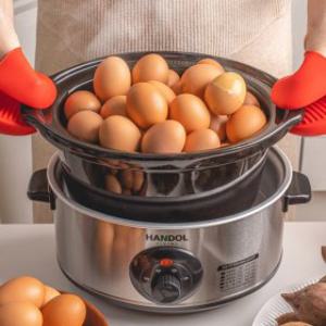 한돌리빙 구운계란 멀티쿠커 계란찜기 3.5L HDLV-A1