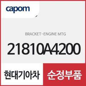 엔진 마운팅 브라켓(엔진미미) (21810A4200) 카렌스