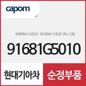 노말 차지 인넷 케이블 와이어링 (91681G5010) 니로 하이브리드