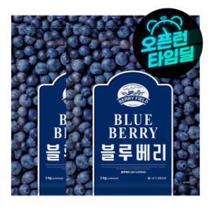 베리필드 블루베리 2kg 2개 총 4kg (미국산)