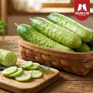 [마녀바스켓] 당일수확 산지직송 다다기오이 백오이 2kg (8-11개 내외)