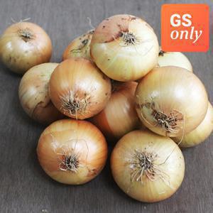 [GS단독] 26년수확 국내산 햇 양파 6kg 특(개당 230~320g내외)