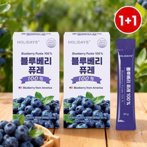 [1+1]홀리데이즈 블루베리 퓨레 스틱 즙 100% 14포 2박스
