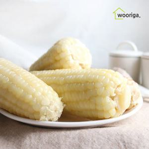 백찰 냉동 삶은 찰옥수수 14개 (16~18cm내외) 옥수수