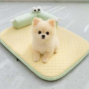 애견 쿨 매트 강아지 냉감 매트 반려동물 고양이 여름 침대 베개