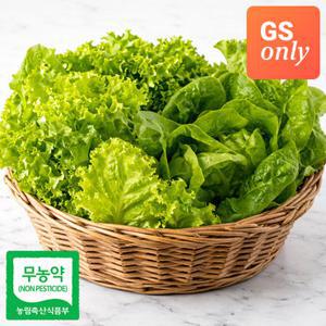 [GS단독]무농약 프리미엄 수경재배 유러피안 샐러드 채소 3종 800g (버터헤드,카이피라,이자벨)