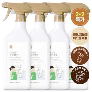 쉼표365 [2+2] 대용량 욕실세정제 750ml 클리너 바닥 화장실 베란다 창틀 청소 물때 제거