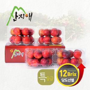 [TV상품]산지애 자두 3kg (750g * 4팩)