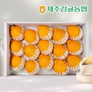 갤러리아_[제주바람] 제주농협 직송 한라봉 선물세트 4.5kg(12-20과)