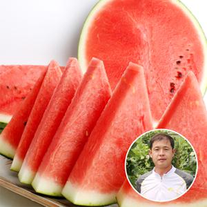 [산지장터] 충남 부여 정용규님의 달콤한 수박 8kg