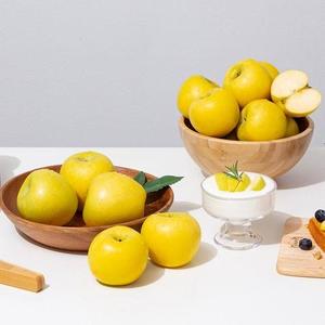 [더조은] 황금사과 시나노골드 가정용 10kg 35-45과 중대과