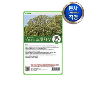 소귀 나무 씨앗 20g . 수목 식물 씨 종자.