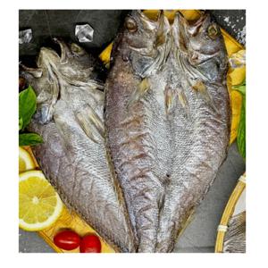 [푸디앤] 국내산 특대 반건조 민어  5미  (1.5kg 내외)