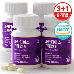 파라다이스 그레인 버닝 20배 농축 6파라돌 식약처인증 60정 4병(240정)