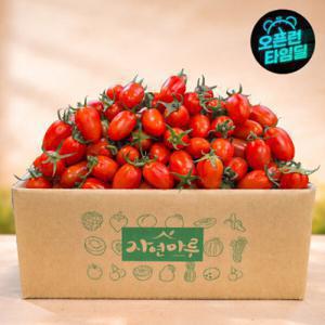 (신선집중/15%+NH10%) 대추방울토마토 3~4번과 3kg