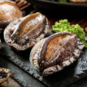 완도전복 특특大 귀한손님용 5~7미 1kg