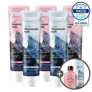 [애경] 2080 히말라야 퓨어 솔트 치약 150g x5개