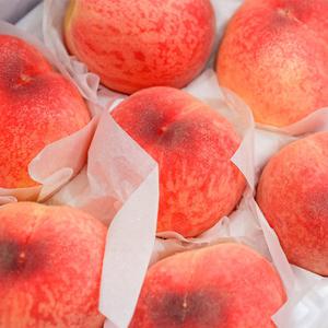 [자연의정] 백도 딱딱이 복숭아 특품 중대과 5kg 25-30과 내외