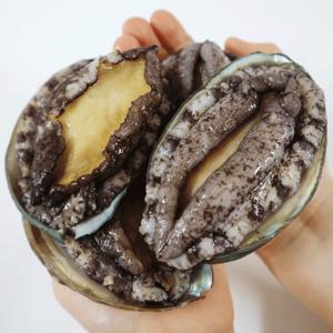 [산지직송] 완도 섬전복 선물용(200-250g, 7-8미) 총 1.5kg 이상