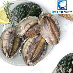 [20%쿠폰][완도생산자협동조합] 왕특대사이즈 15미(미당 100g 이상) 전복 총 1.5kg이상 산지직송