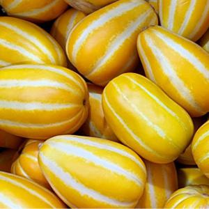성주 참외  가정용 중대과 10kg 포장재포함 산지직송 3시간특가