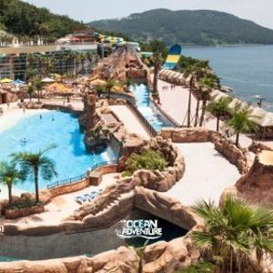 |월첫세일|소노캄 거제 오션어드벤처 골드시즌 입장권 거제 워터파크 주중/주말 공통  (~26/08/30)