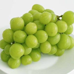 국내산 샤인머스켓 정품 2kg 내외(4-5수)