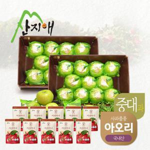 [산지애] 씻어나온 초록사과 (아오리) 5.4kg (2.7kg x 2박스, 총 16~24과)+사과주스 10팩