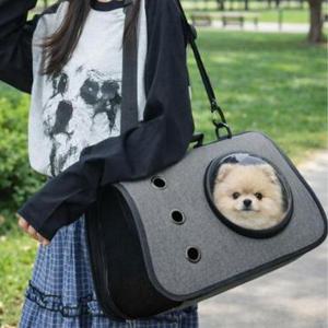 [JED] 캐리어 강아지 고양이 투명돔 켄넬 이동가방 이동장