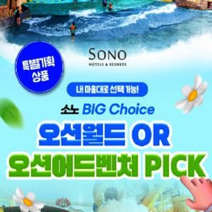 l여행가는달l 비발디파크 오션월드/오션어드벤처 워터파크 CHOICE 입장권 특가 오션월드/오션어드벤처