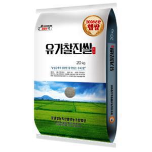 (참달성)(대구신세계)2026년산 햅쌀 유가찰진쌀 20kg 상등급