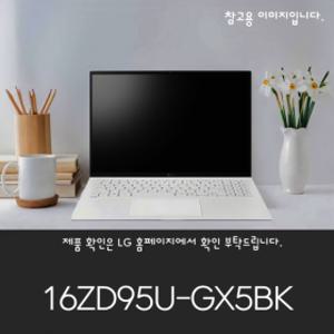 LG그램 프로 16ZD95U-GX5BK AMD 고르곤 AI 5 RAM16GB SSD1TB교체 실버 윈11설치 무선마우스 패드 증정 - ah