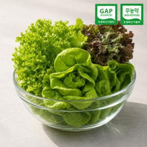 (신선집중) 친환경 GAP 무농약 부여 유러피안 샐러드 유럽 채소 1kg 800g