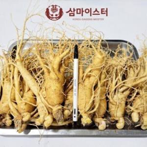 금산인삼 장인 5년근 6년근 무료세척 가정용인삼700g