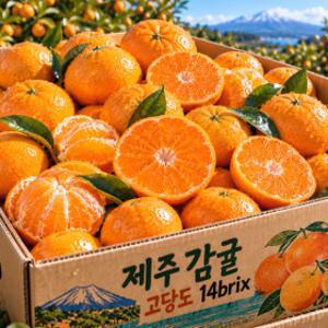 (2시간 특가) 제주 감귤 5kg 중과 특품 정품 A급 당도선별 최대 16Brix 새콤달콤